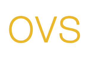 logo_ovs