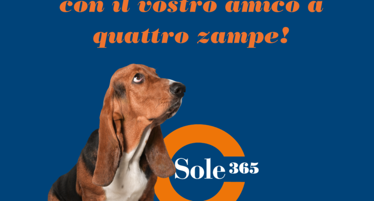 Sole365 – La spesa con Fido